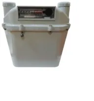 Счетчики газа СГМН-1М Счетчики газа СГМН-1М