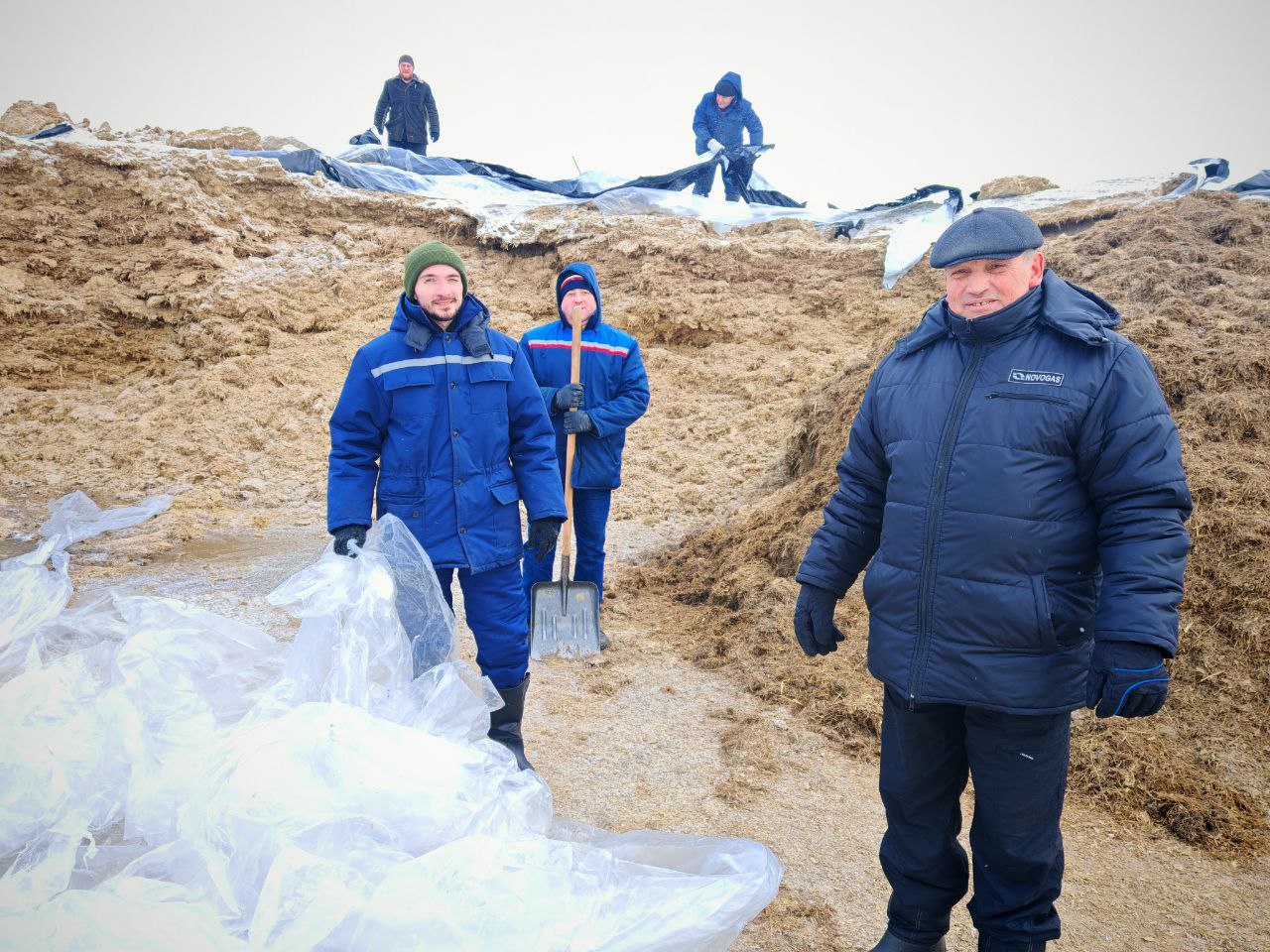 Трудовой десант Новогрудского завода газовой аппартуры продолжает оказывать помощь ОАО «Кошелево-Агро»